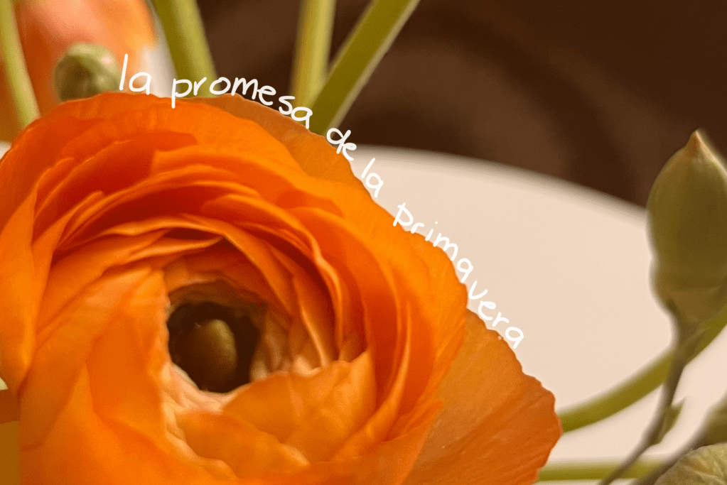 La promesa de la&nbsp;primavera