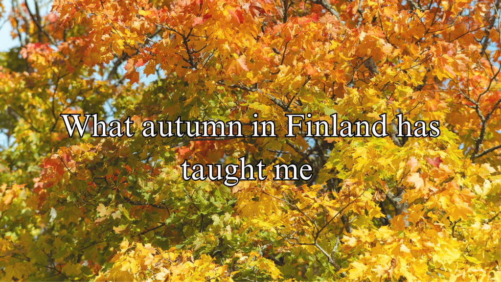 One simple lesson that the autumn in Finland has taught&nbsp;me.